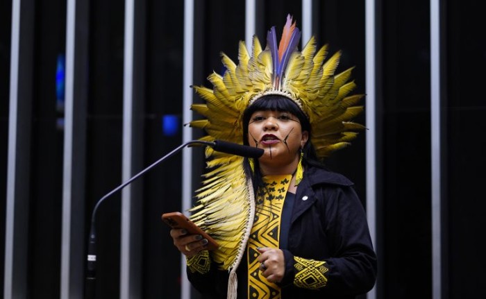 Deputada Célia Xakriabá solicitou o debate - (Foto: Pablo Valadares/Câmara dos Deputados)