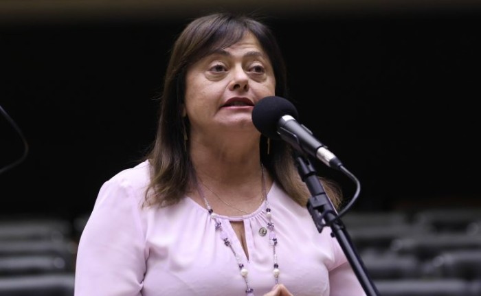Alice Portugal recomendou a aprovação, após ajustes no texto - (Foto: Marina Ramos / Câmara dos Deputados)