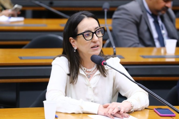 Rosângela Moro é a autora do requerimento para a realização da audiência - (Foto: Vinicius Loures/Câmara dos Deputados)