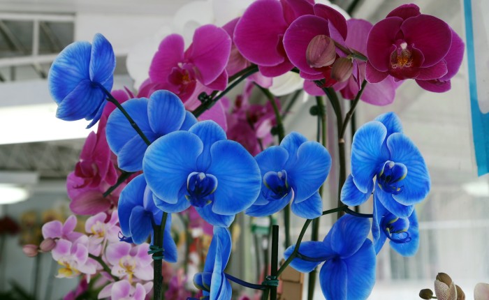 Foto: Reprodução/Secom Paraná