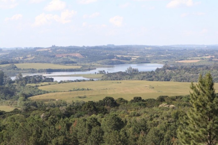 Foto: Reprodução/Prefeitura de Ponta Grossa - PR