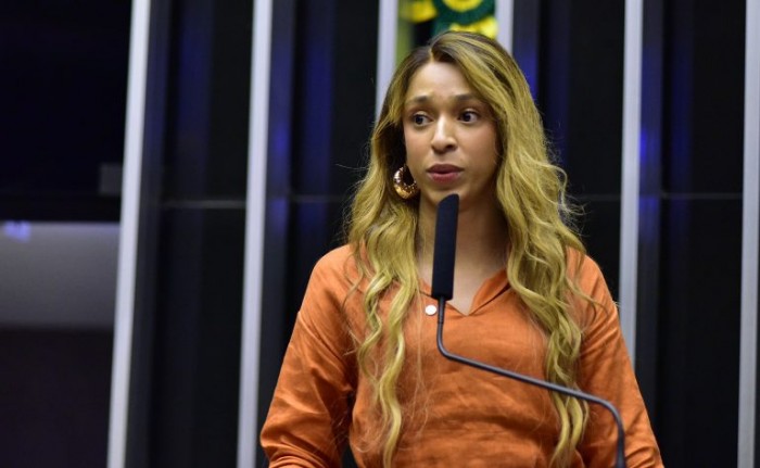 Erika Hilton, autora do projeto - (Foto: Zeca Ribeiro/Câmara dos Deputados)