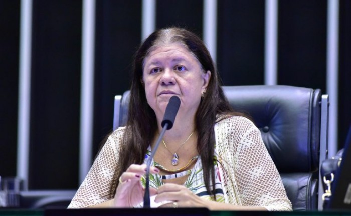 Laura Carneiro, relatora do projeto - (Foto: Zeca Ribeiro/Câmara dos Deputados)