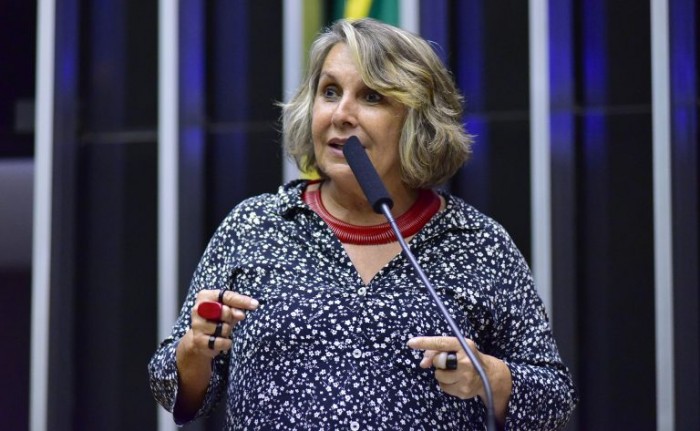 Deputada Erika Kokay pediu o debate - (Foto: Zeca Ribeiro / Câmara dos Deputados)