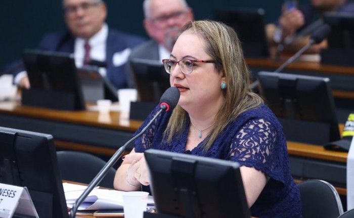 Patrícia Menezes: grupo de trabalho criado pelo ministério ainda não debateu o assunto - (Foto: Vinicius Loures/Câmara dos Deputados)