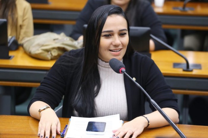 Dayany explica que adotou uma “opção incentivada” para os estabelecimentos comerciais - (Foto: Vinicius Loures/Câmara dos Deputados)