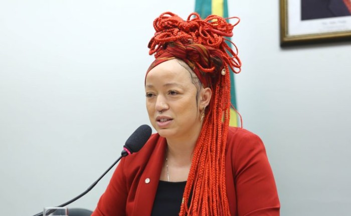 Daiana Santos: falta de creches atinge principalmente famílias mais pobres - (Foto: Vinicius Loures/Câmara dos Deputados)