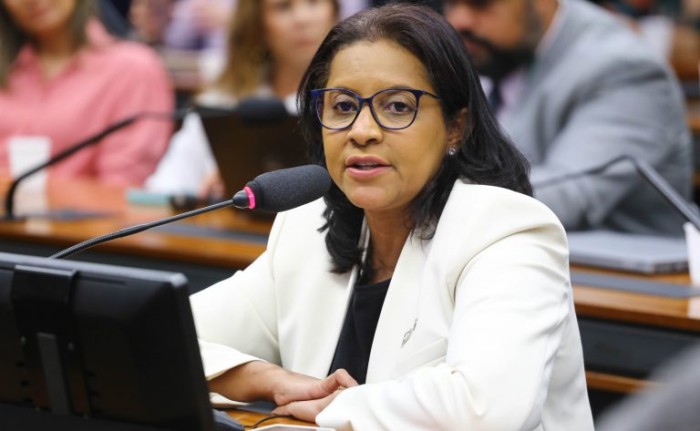 Gisela Simona é a autora do requerimento para a realização da audiência - (Foto: Vinicius Loures/Câmara dos Deputados)