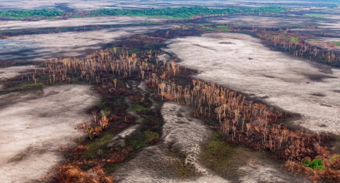 Queimada na Amazônia - (Foto: Vinícius Mendonça/Ibama)