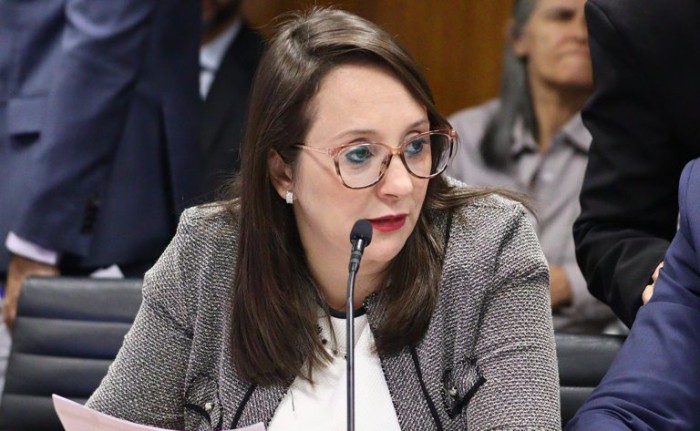 Renata Abreu, autora da proposta - (Foto: Marina Ramos/Câmara dos Deputados)