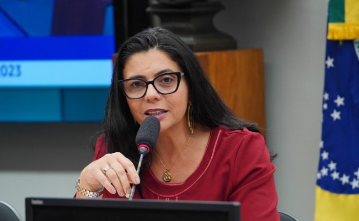 Delegada Ione: o furto de fios de cobre eleva o custo de produtos e serviços - (Foto: Will Shutter / Câmara dos Deputados)