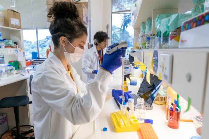Entre 2015 e 2016, o Brasil enfrentou um dos maiores surtos de zika, com um aumento expressivo no número de recém-nascidos diagnosticados com microcefalia