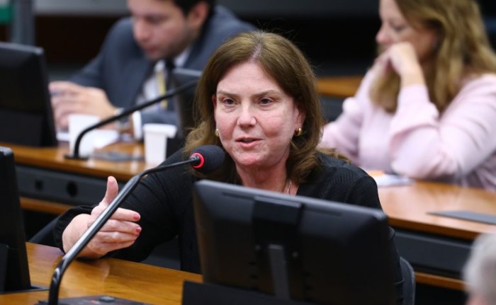 Fernanda Pessoa defendeu a aprovação da proposta na comissão - (Foto: Vinicius Loures/Câmara dos Deputados)