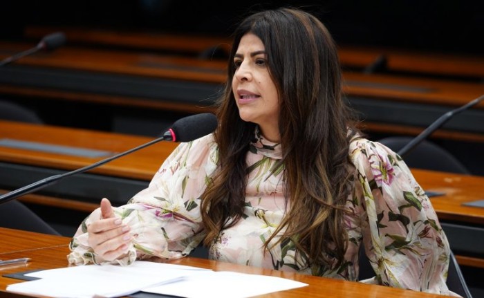 Antônia Lúcia é a autora do requerimento para a realização da audiência - (Foto: Pablo Valadares/Câmara dos Deputados)