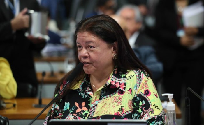 Laura Carneiro foi favorável à constitucionalidade da proposta - (Foto: Bruno Spada/Câmara dos Deputados)