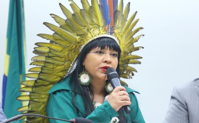 Célia Xakriabá quer transformar política de gestão territorial em lei - (Foto: Vinicius Loures / Câmara dos Deputados)