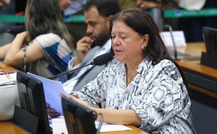 Laura Carneiro defendeu a aprovação da proposta - (Foto: Vinicius Loures/Câmara dos Deputados)