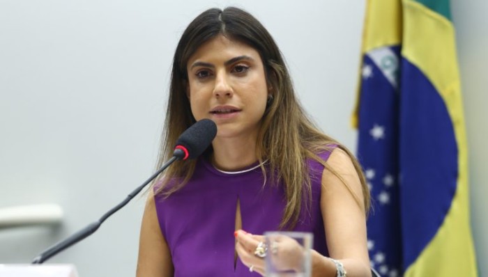 Camila Jara presidiu debate na Comissão de Meio Ambiente da Câmara - (Foto: Vinicius Loures/Câmara dos Deputados)