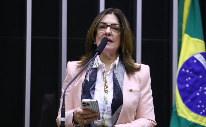 A relatora, deputada Rogéria Santos, recomendou a aprovação da proposta - (Foto: Vinicius Loures/Câmara dos Deputados)