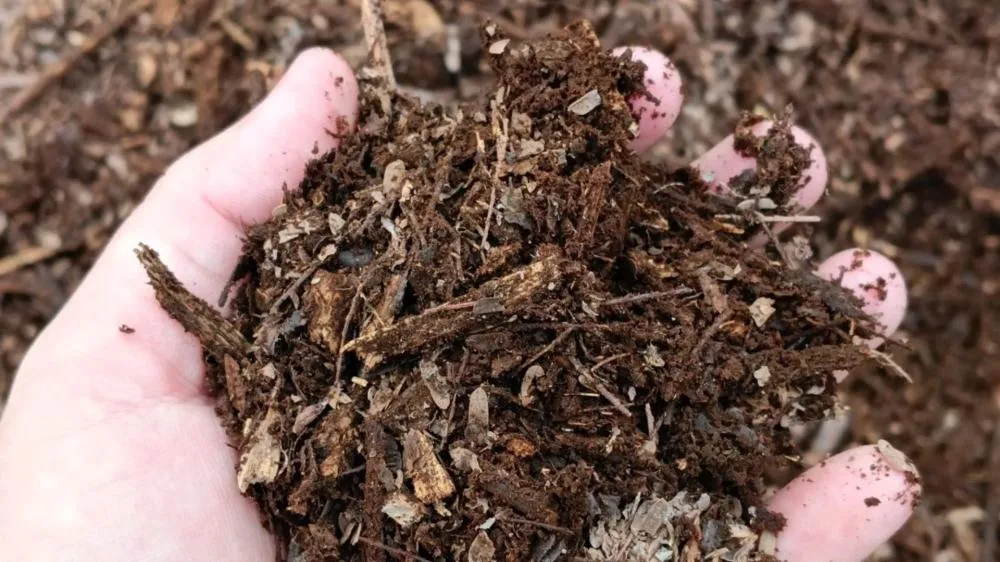 Secretaria de Agricultura, Pecuária e Meio Ambiente