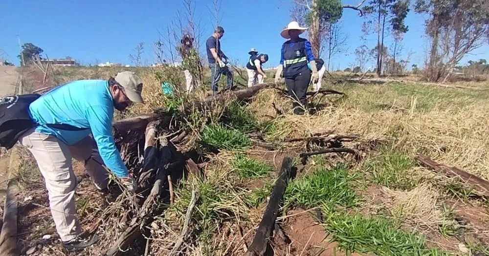 Secretaria Municipal de Obras, Viação e Serviços Urbanos