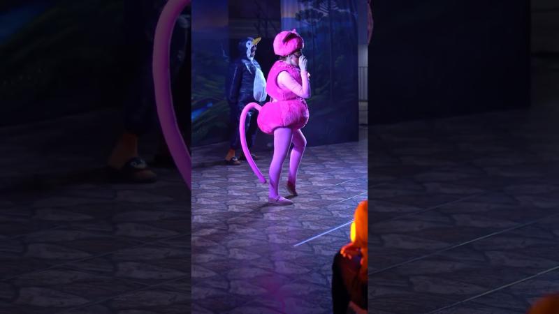 As aventuras de Janaína encanta Wenceslau Braz